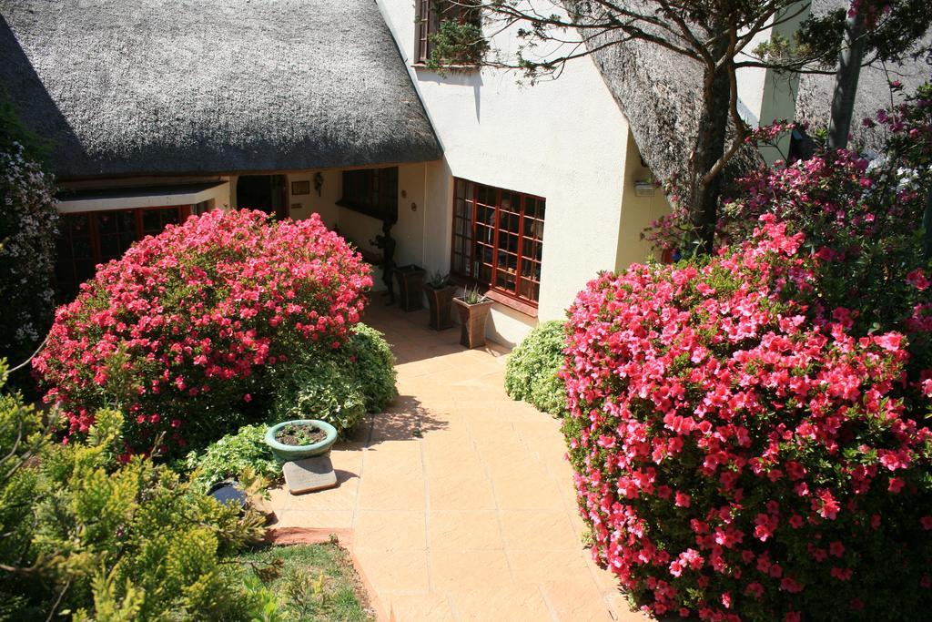 Thatchings Bed And Breakfast Nottingham Road Bagian luar foto